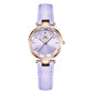 Internet Popularity ladies quartz watch